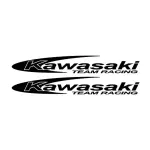 2 Stickers Kawasaki Team Racing pour personnalisation de moto